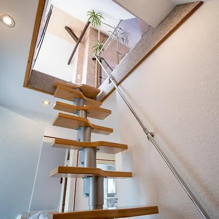 Kirschbluete Rechlin