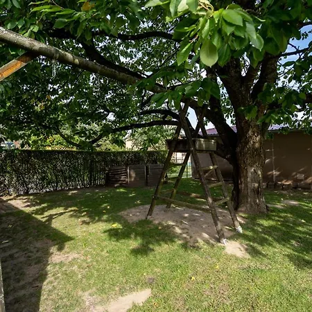 Kirschbluete * Rechlin