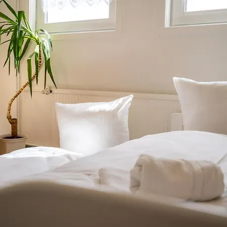 Kirschbluete רשלין