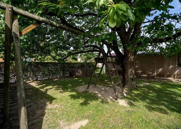 Kirschbluete * ريكلين